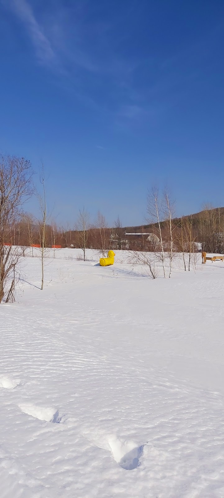 Parc Équestre Olympique de Bromont | 450 Chemin de Gaspé, Bromont, QC J2L 1A9, Canada | Phone: (450) 534-0787