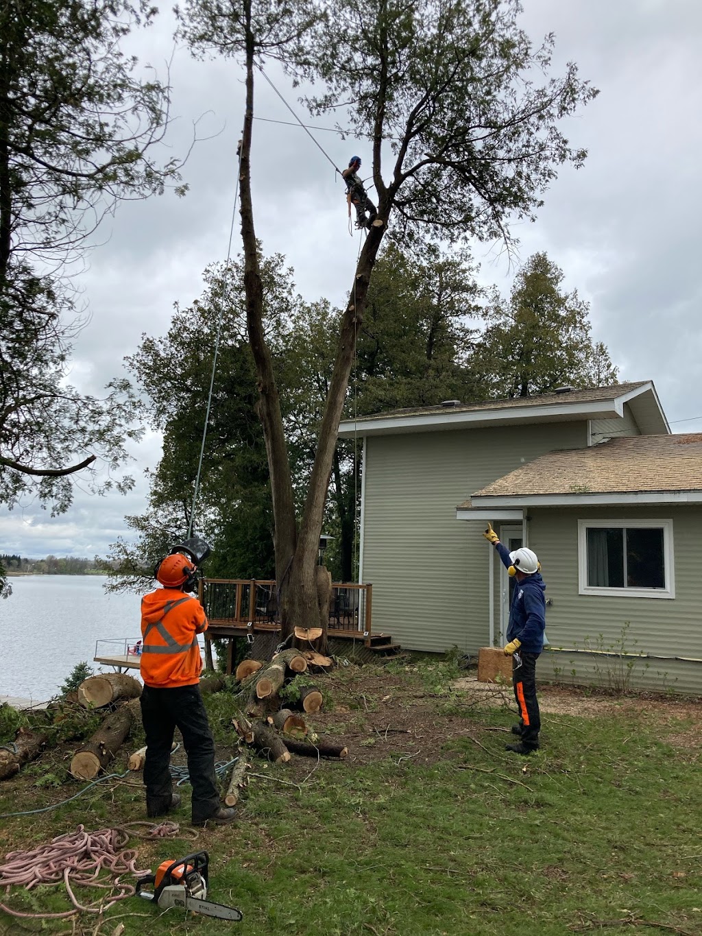 Frontenac Tree Service | 53 Huffman Rd, Yarker, ON K0K 3N0, Canada | Phone: (343) 884-6311