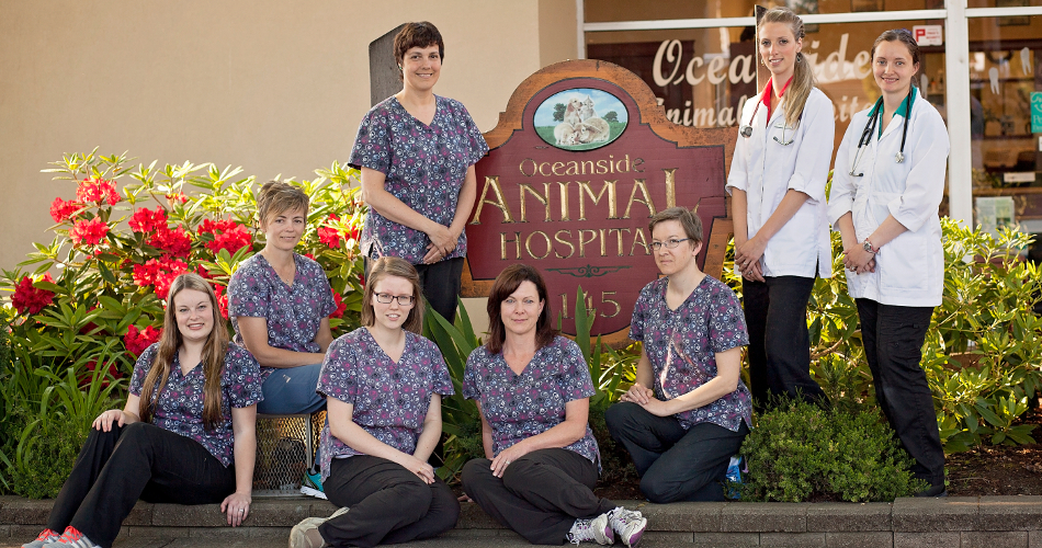 Oceanside Animal Hospital | 145 Memorial Ave, Parksville, BC V9P 1K7, Canada | Phone: (250) 248-0008