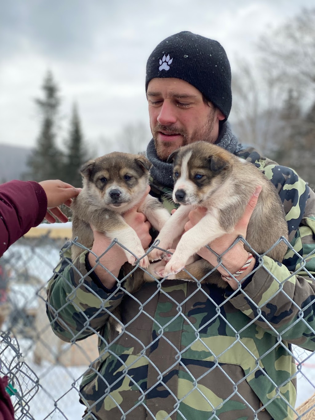 Mountain Adventure Dogsledding | 150 Chemin Val Mont, Val-des-Lacs, QC J0T 2P0, Canada | Phone: (819) 681-4853