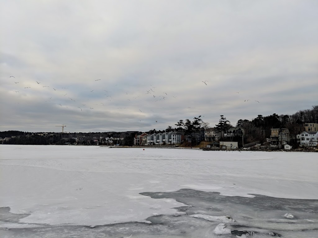 Rotary Park | Halifax, NS B3L 1N4, Canada