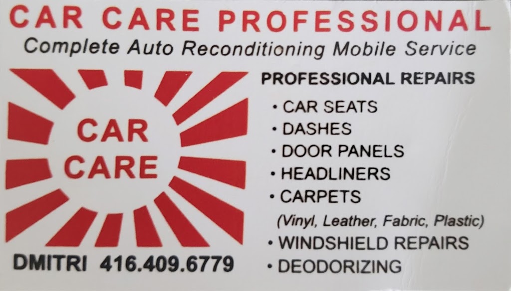 Car Care Professional | 52 Alex Campbell Crescent, King City, ON L7B 0C2, Canada | Phone: (416) 409-6779