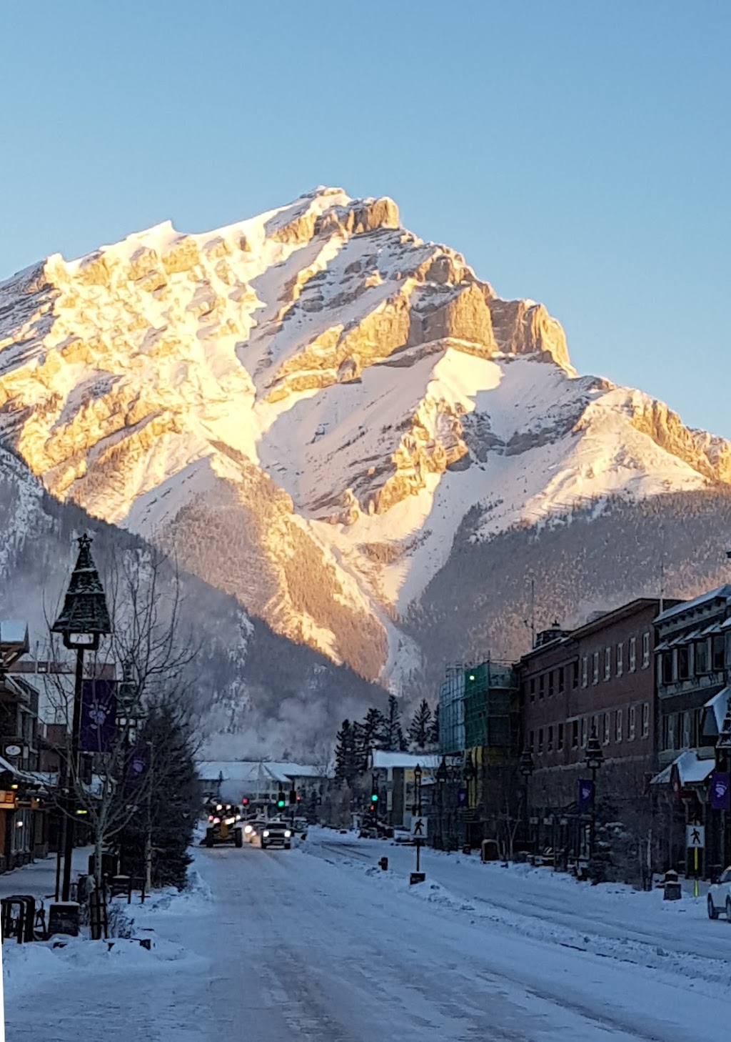 Banff Bear Bed And Breakfast | 108 Otter St, Banff, AB T1L 1B3, Canada | Phone: (403) 431-2997