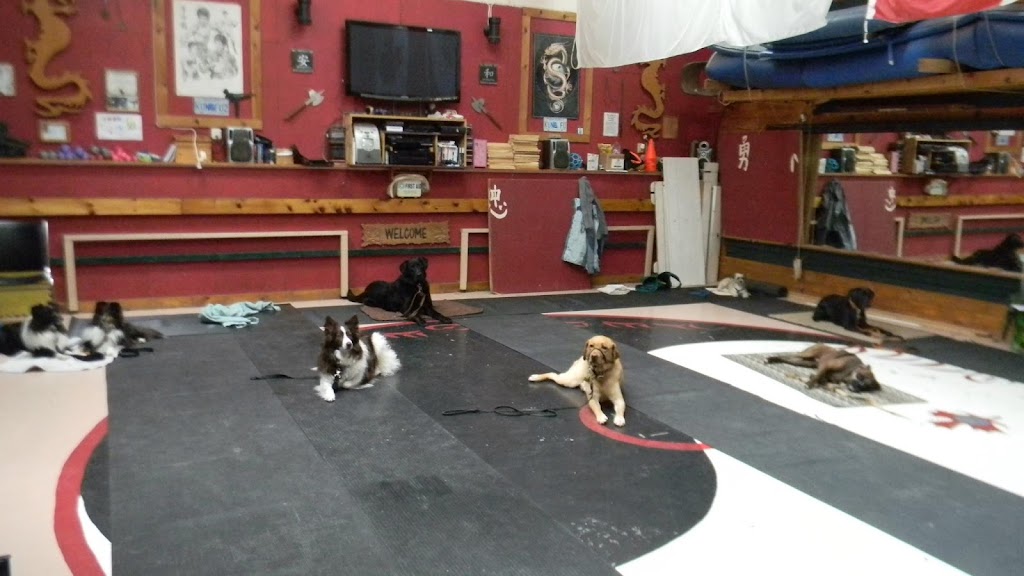 Wyndenfog Kennels | 7149 NS-207, Head of Chezzetcook, NS B0J 1N0, Canada | Phone: (902) 222-5134