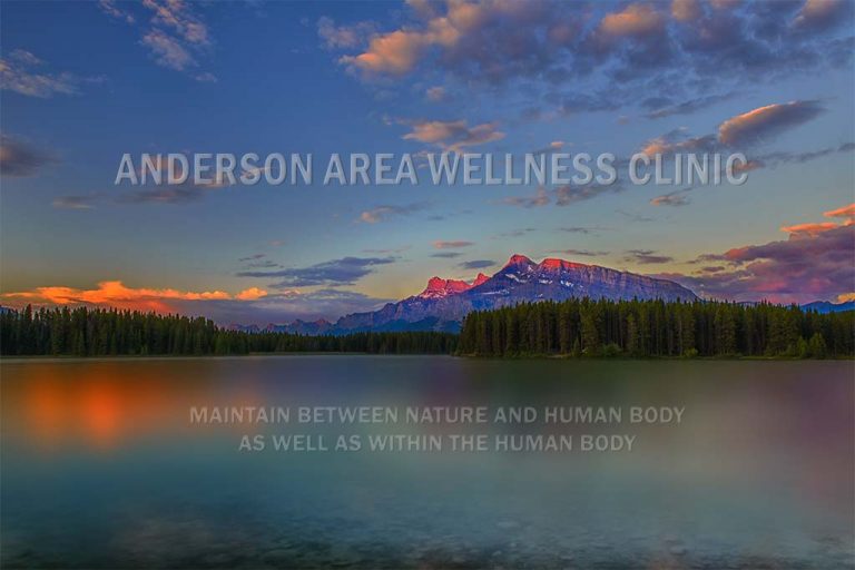 Anderson Area Acupuncture Wellness Clinic | BraeCentre, 11440 Braeside Dr SW #8, Calgary, AB T2W 3N4, Canada | Phone: (403) 398-6798