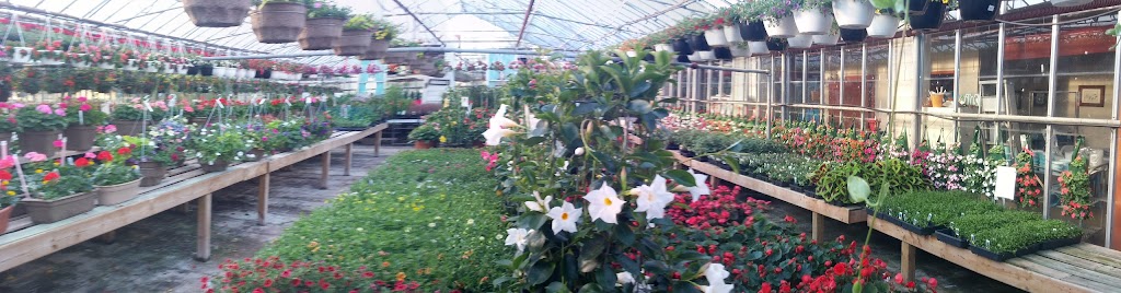 Vanvugt Greenhouses | West Shore Rd, Owen Sound, ON N4K 5N4, Canada | Phone: (519) 376-4537