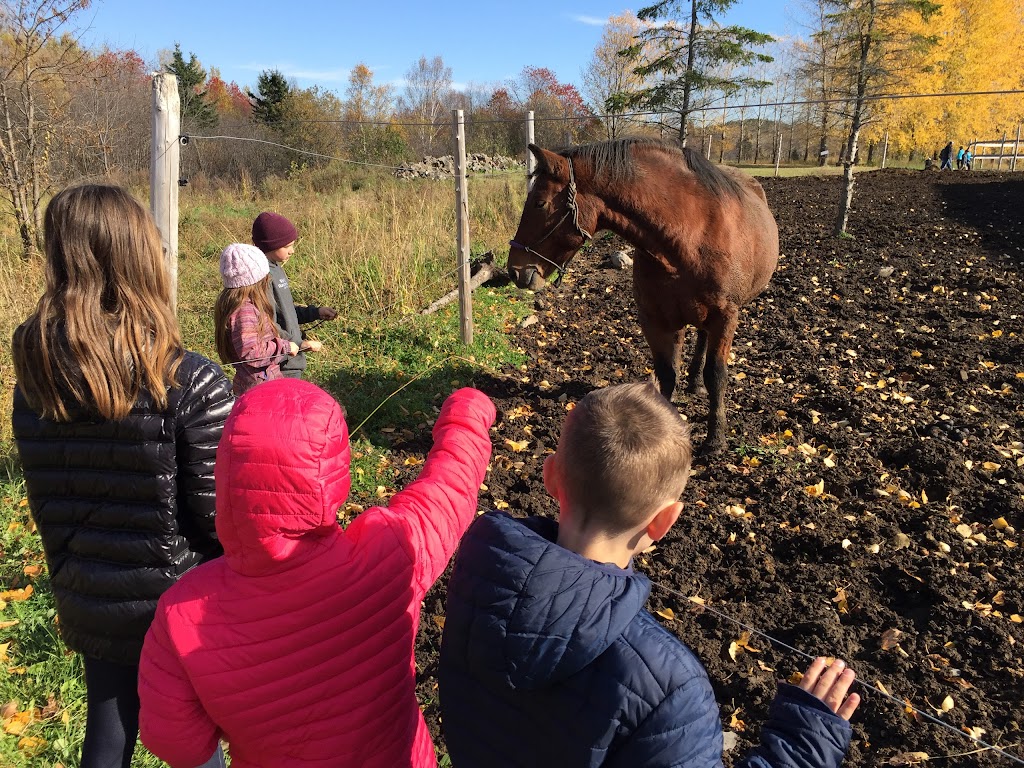 Ferme La Rouquine Inc | Rang Sainte-Famille, Chicoutimi, QC G7H 7W4, Canada | Phone: (418) 549-6850