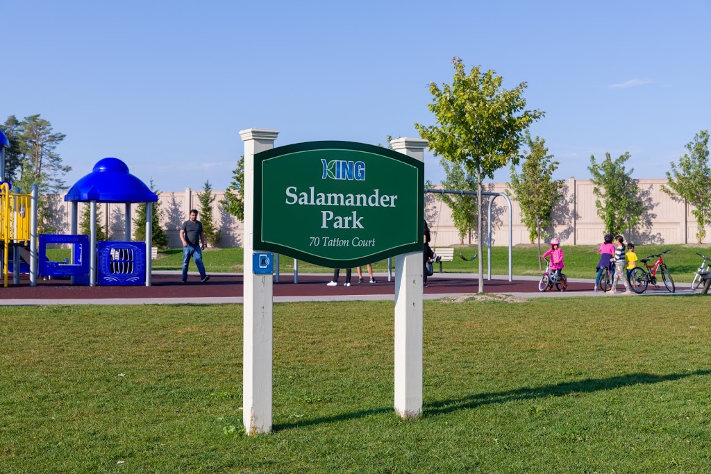 Salamander Park | 70 Tatton Ct, King City, ON L0G, Canada