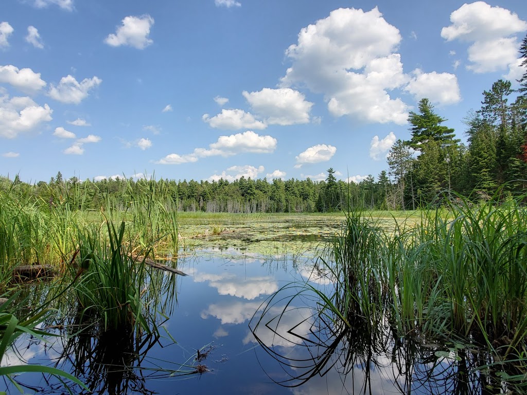 Eagles Nest Lookout | Greater Madawaska, ON K0J 1H0, Canada | Phone: (800) 669-4861