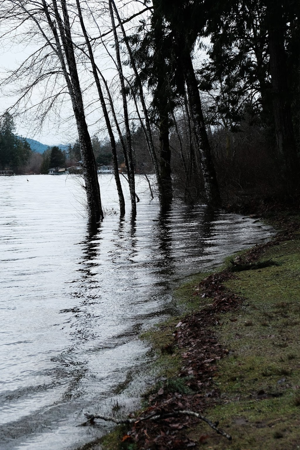 West Shawnigan Lake Provincial Park | Shawnigan Lake, BC V0R 2W0, Canada