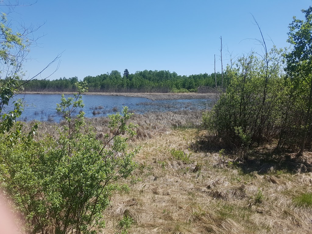 Clifford E. Lee Nature Sanctuary | Spruce Grove, AB T7Y, Canada