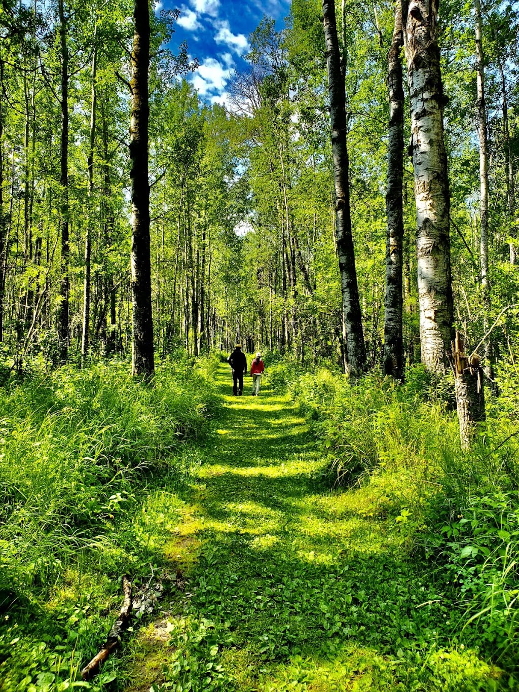 Cross Lake Provincial Park - Campground | Flatbush, AB T0G 0Z0, Canada | Phone: (780) 675-8213