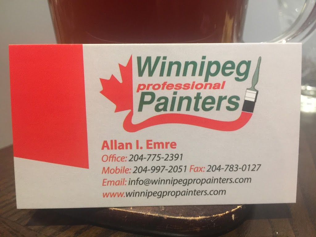 Winnipeg Professional Painters | 1426 Erin St, Winnipeg, MB R3E 2S8, Canada | Phone: (204) 997-2051