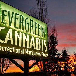 Evergreen Cannabis | 922 Peace Portal Dr, Blaine, WA 98230, USA | Phone: (360) 332-8922