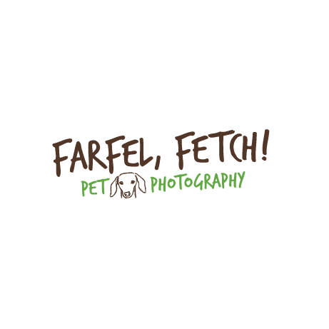 Farfel, Fetch! Pet Photography | 20176 68 Ave, Langley, BC V2Y 2X7, Canada | Phone: (778) 878-0959