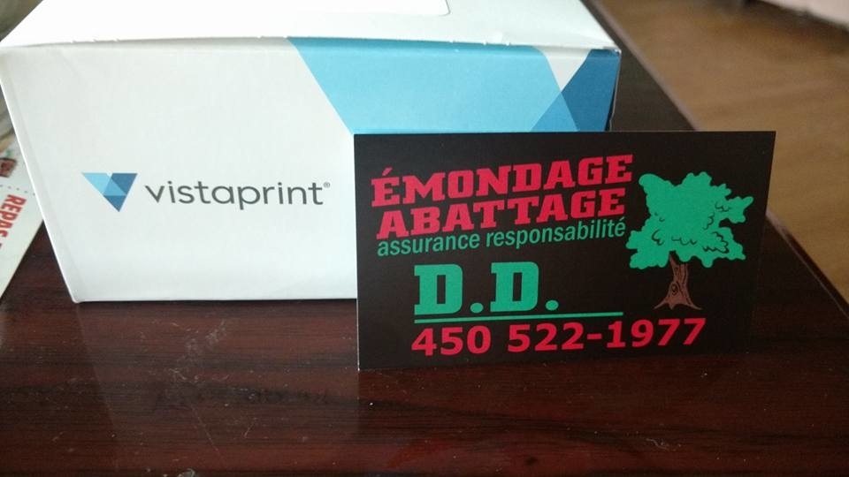 Émondage Abattage DD | 110 Rue Daigle, Cowansville, QC J2K 3E4, Canada | Phone: (450) 522-1977