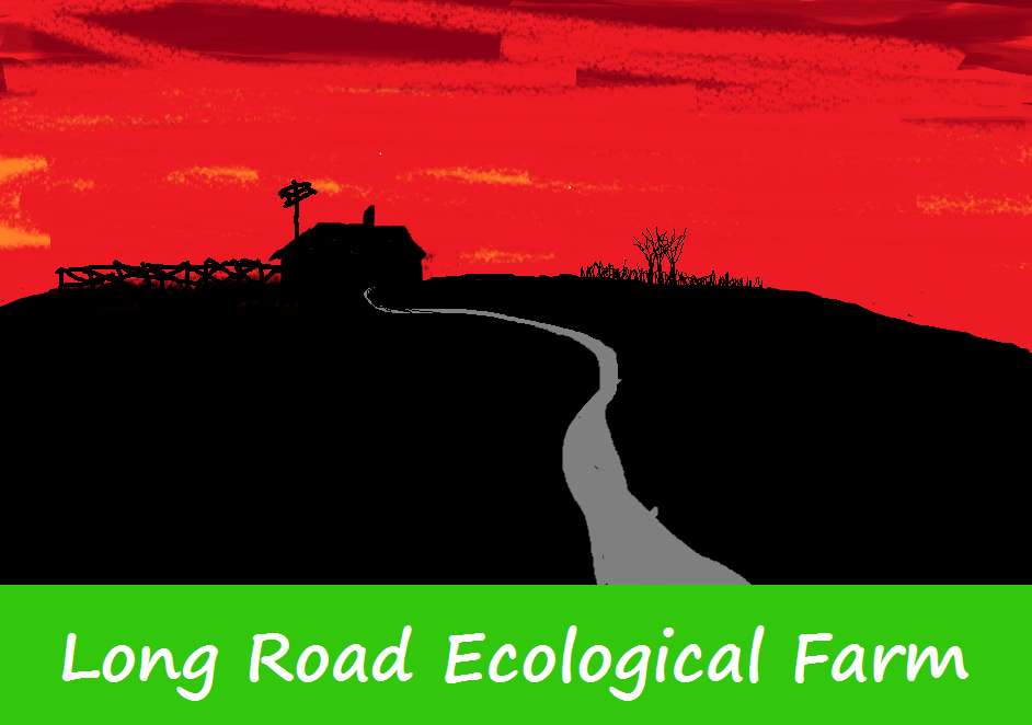 Long Road Ecological Farm | 3757 Road 38, Harrowsmith, ON K0H 1V0, Canada | Phone: (613) 305-0968