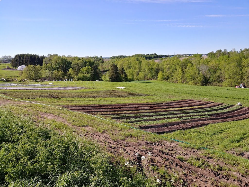 Les Jardins du Petit-Trompe-Souris | 42 Rte du Petit Trompe Souris, Maskinongé, QC J0K 1N0, Canada | Phone: (819) 448-4856