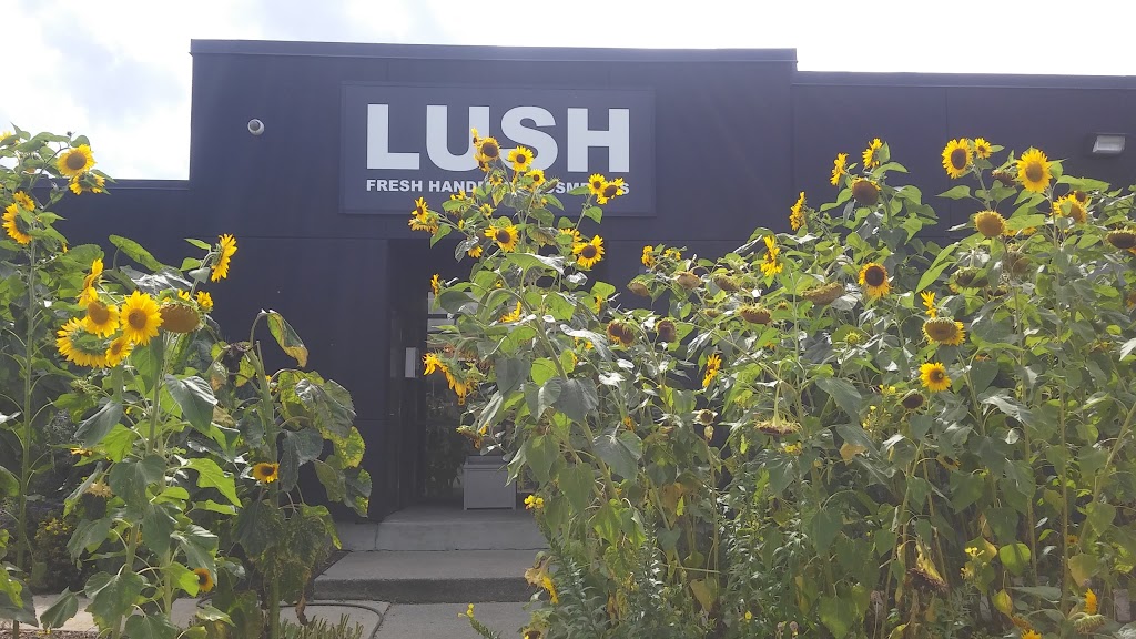 LUSH Cosmetics Manufacturing (No Retail) | 35 Jutland Rd, Etobicoke, ON M8Z 2G6, Canada | Phone: (888) 733-5874