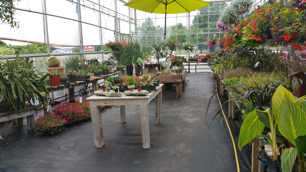 Gemmells Garden Centre | 11862 Hwy. 15 N, Smiths Falls, ON K7A 4S4, Canada | Phone: (613) 283-6371