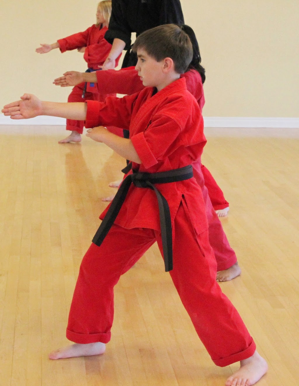 Douvris Martial Arts, Karate, Kickboxing - Kanata | 220 Terence Matthews Crescent, Kanata, ON K2M 0E2, Canada | Phone: (613) 234-5000