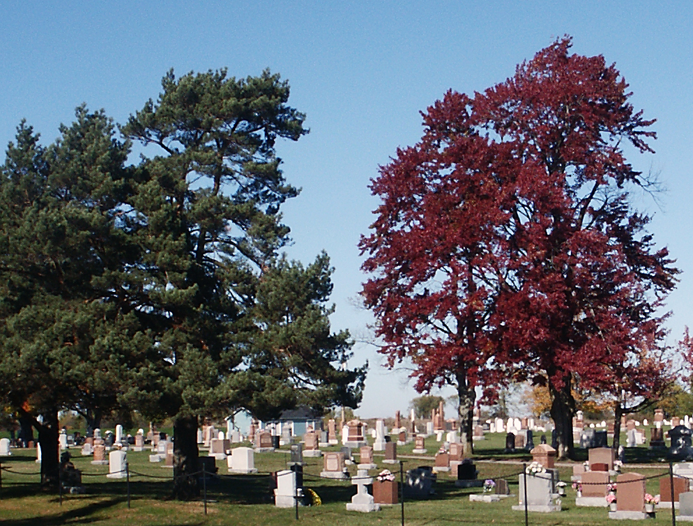 Maynard Cemetery | 3562-3572 26, Augusta, ON K0E, Canada