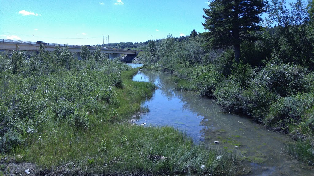 Riverfront Park | Cochrane, AB T4C 1J6, Canada