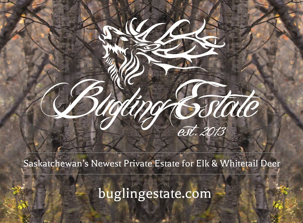 Bugling Estate | 335 Clark Ave, Asquith, SK S0K 0J0, Canada | Phone: (306) 948-7055