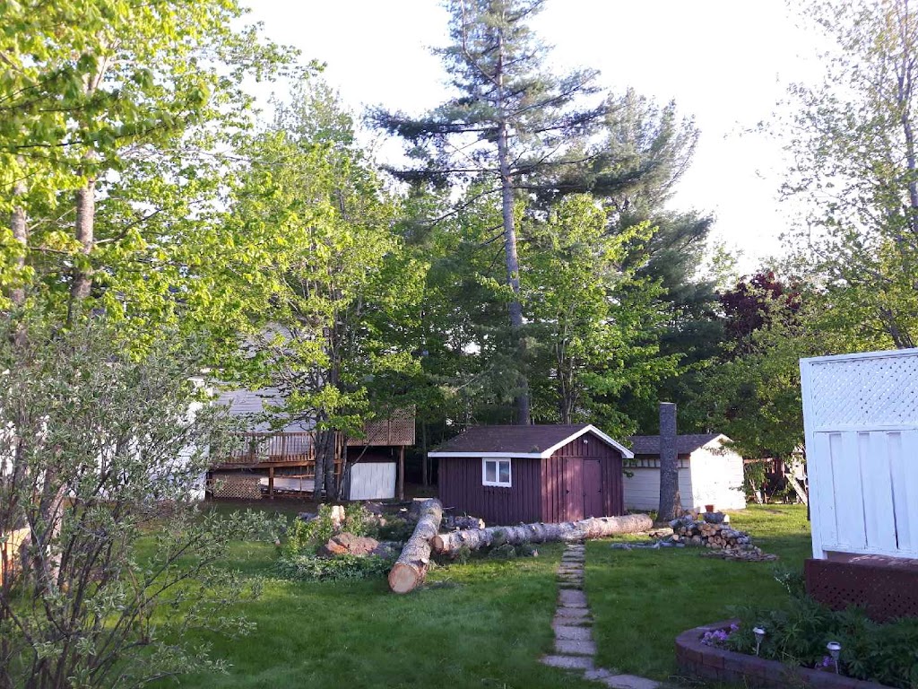 No Limits Tree Experts Inc. | 1359 NB-114, Lower Coverdale, NB E1J 1C5, Canada | Phone: (506) 609-8733