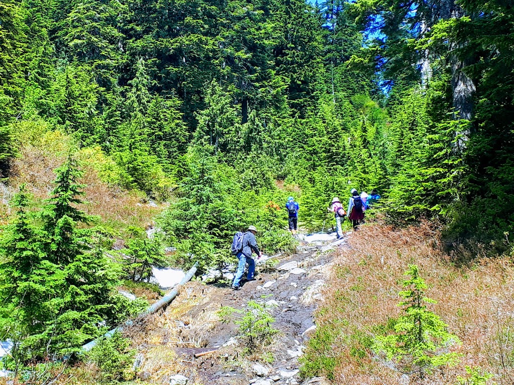 Ridge Trail | Ridge Trail, North Vancouver, BC V7K 1X8, Canada