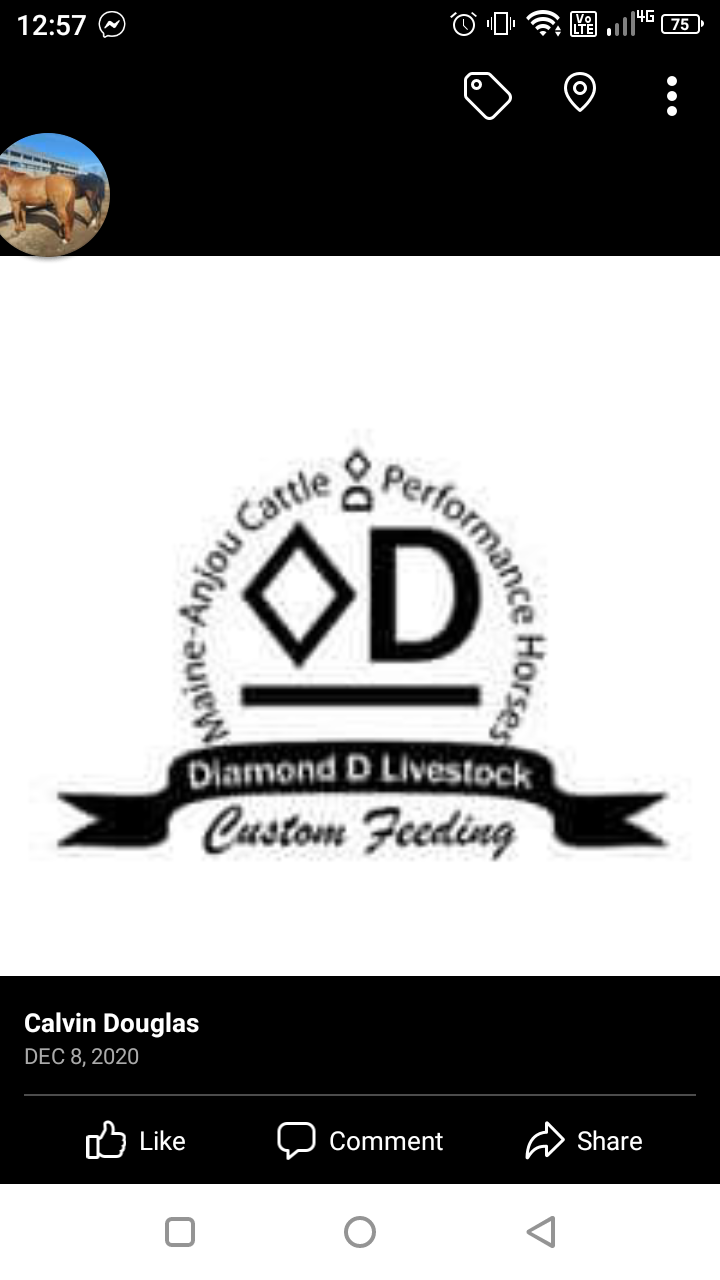 Diamond D Livestock | 37406 Range Road 245, Lacombe County, AB T0M 0V0, Canada | Phone: (403) 506-9311