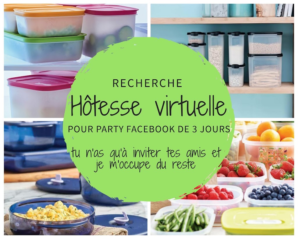 Mr.&Mrs. Tupperware | 7380 Bd Wilfrid-Hamel, Québec, QC G2G 0L5, Canada | Phone: (418) 265-5161