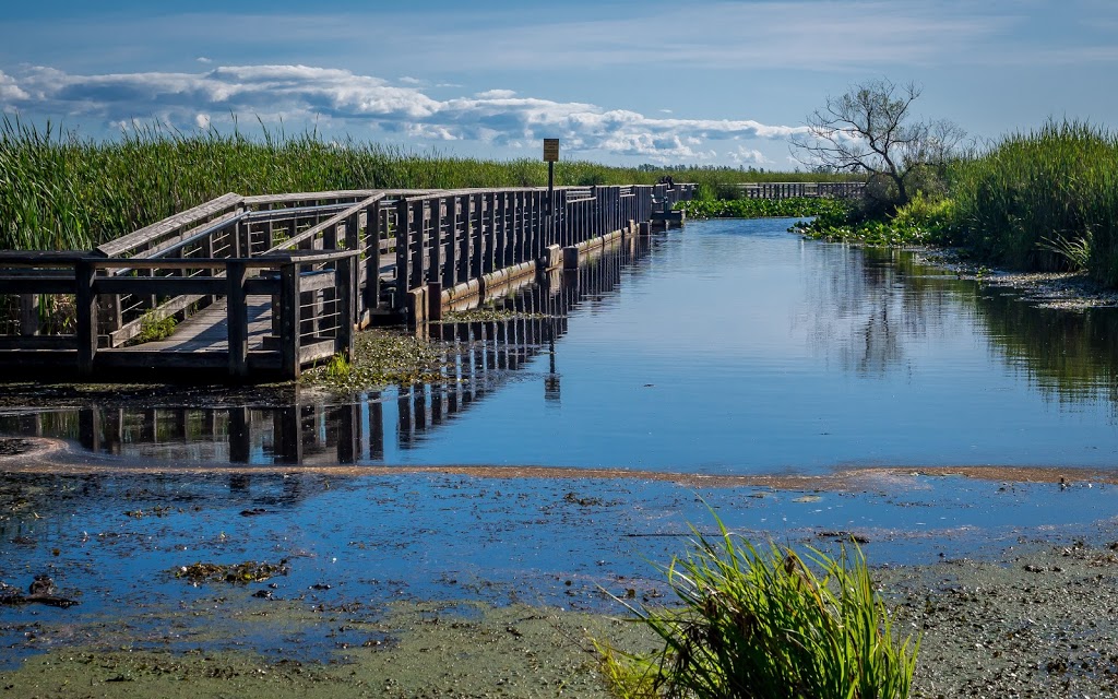 Point Pelee National Park | 1118 Point Pelee Dr, Leamington, ON N8H 3V4, Canada | Phone: (519) 322-2365