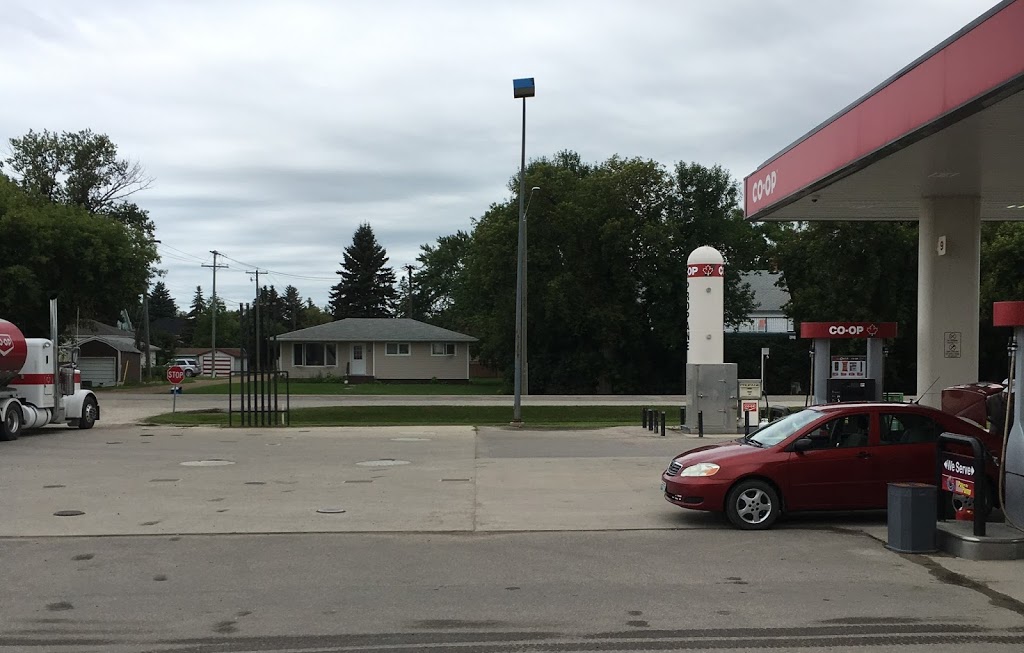 Homestead Co-op @ Carman Gas Bar | 63 Main St N, Carman, MB R0G 0J0, Canada | Phone: (204) 745-6701