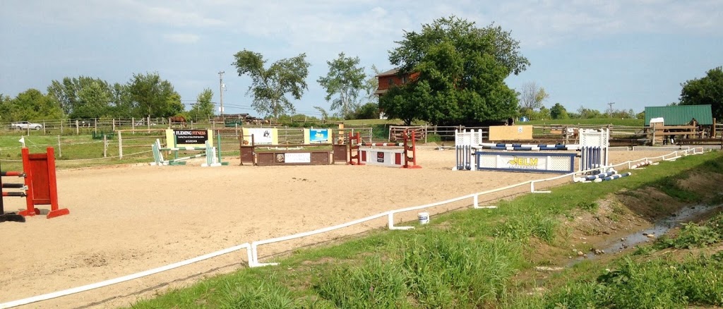 Meadowvale Farm Equestrian Centre | 1247 Corkery Rd, Carp, ON K0A 1L0, Canada | Phone: (613) 256-8170