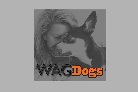 WAGDogs | 11024 Oakfield Dr SW, Calgary, AB T2W 5G6, Canada | Phone: (403) 708-8224