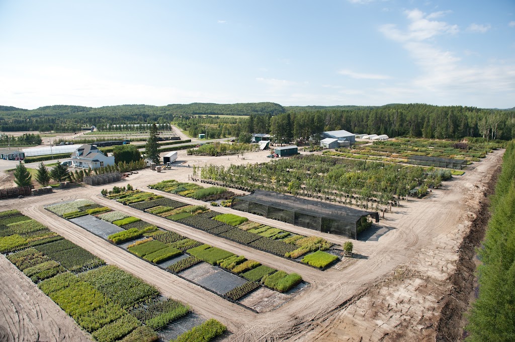 Sylvestria Pépinière Agroenvironnementale | 100 Rang Saint-Louis, Saint-Fulgence, QC G0V 1S0, Canada | Phone: (418) 672-2808