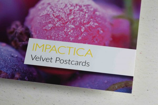 Impactica Canadas Online Printer | 7111 68 Ave NW, Edmonton, AB T6B 3T6, Canada | Phone: (888) 433-9794