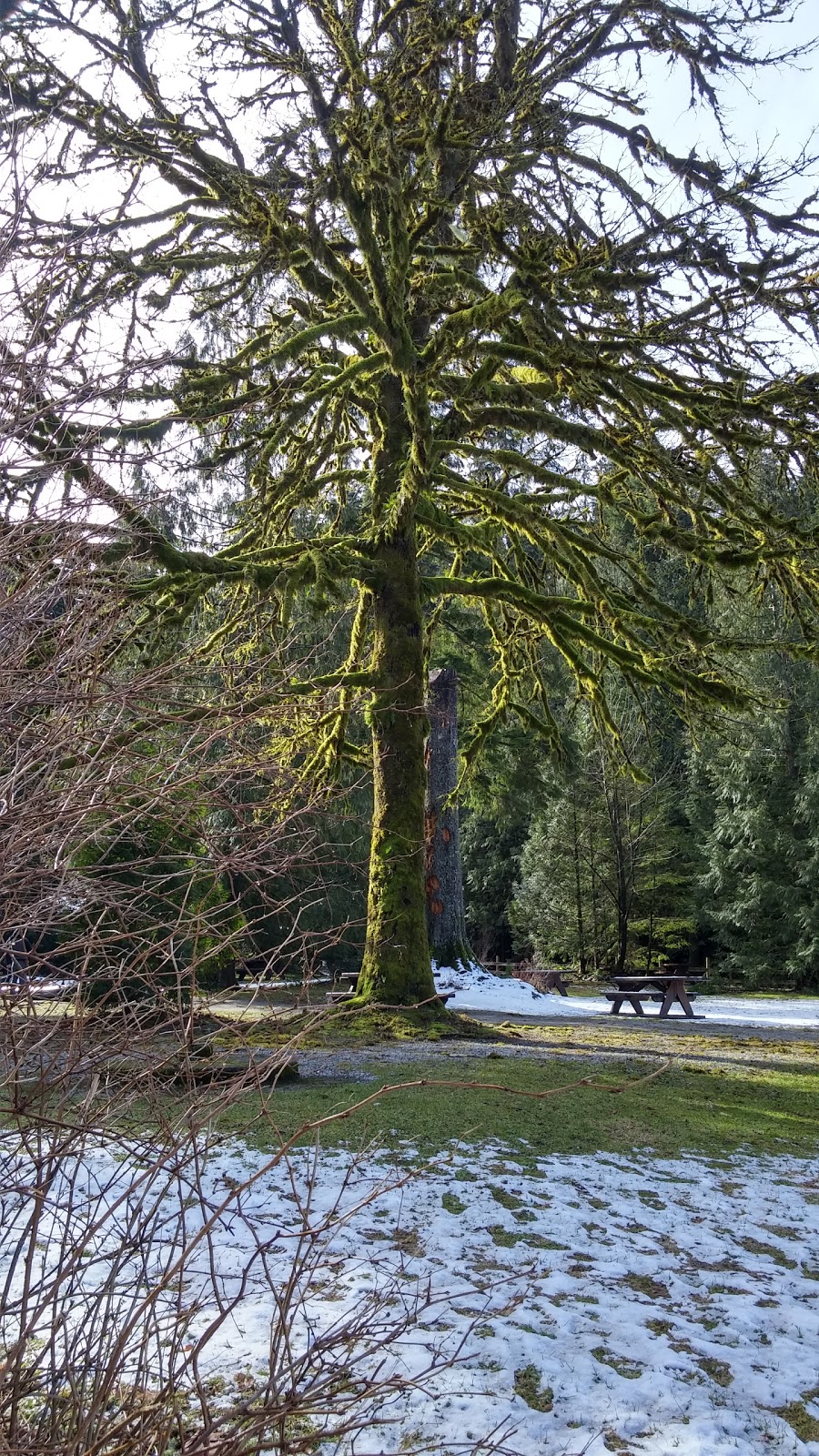 Buntzen Lake Park | 5000 Sunnyside Rd, Anmore, BC V3H 4Z2, Canada | Phone: (604) 469-9679