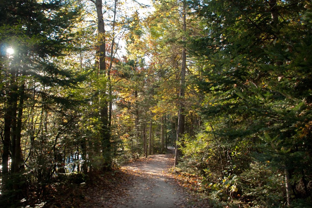 Accès au sentier linéaire de la rivière Saint-Charles | 3Y9, Sentier des rivières, Québec, QC G2A 3L5, Canada