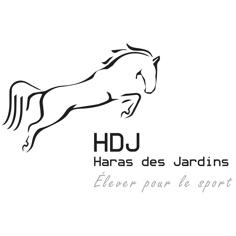 Haras des Jardins - jumping horses breeding farm | 735 Rang Marigot, Saint-Apollinaire, QC G0S 2E0, Canada | Phone: (418) 564-9919