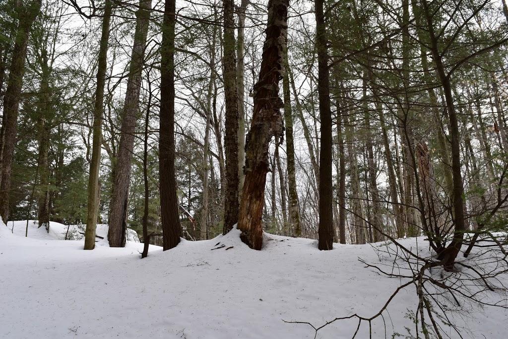 Discovery Trail | Chemin du Lac Meech, Chelsea, QC J9B 1H9, Canada