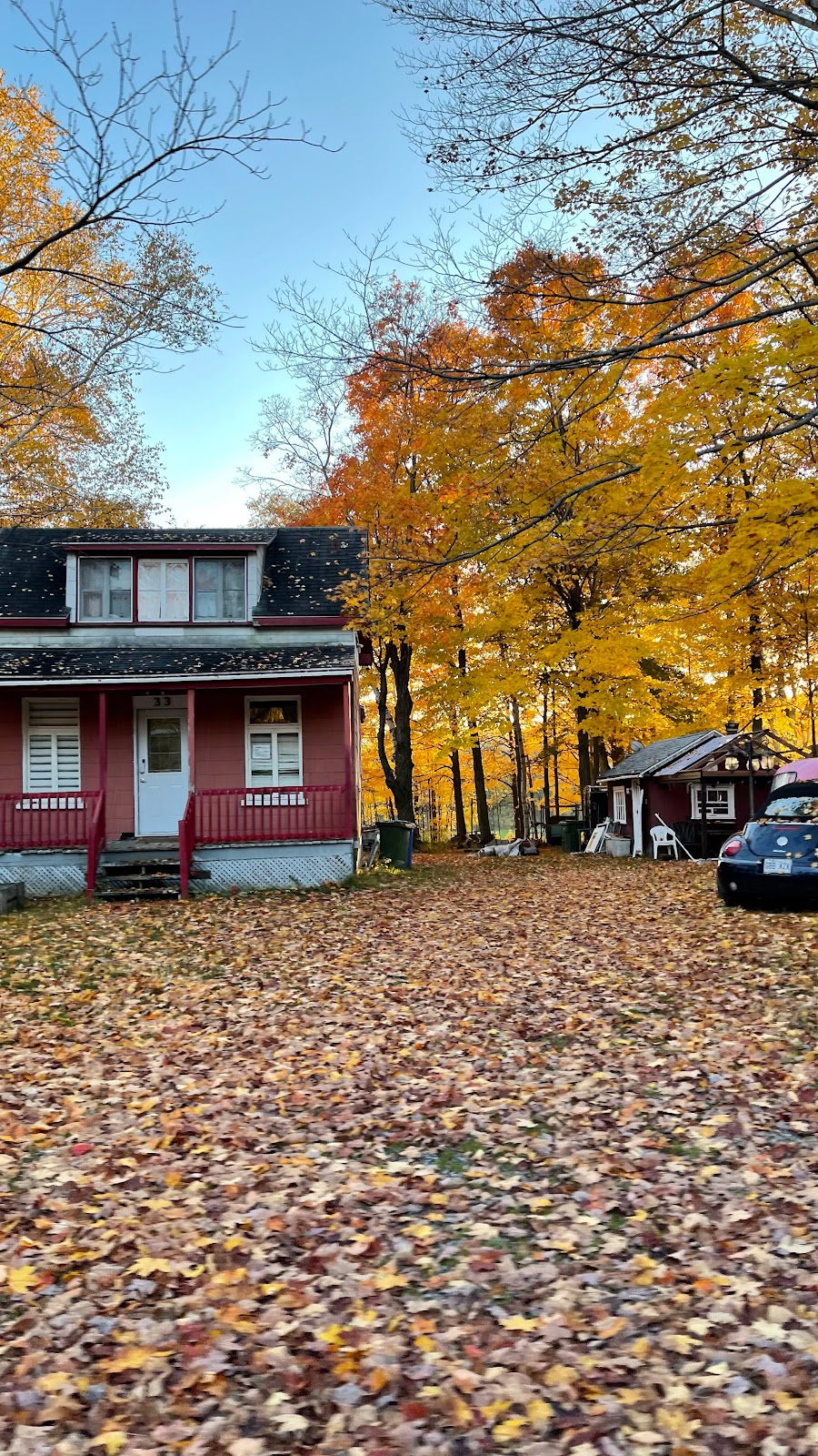 Racines Nomades | Rue dOrléans, Sainte-Pétronille, QC G0A 4C0, Canada | Phone: (581) 992-0900