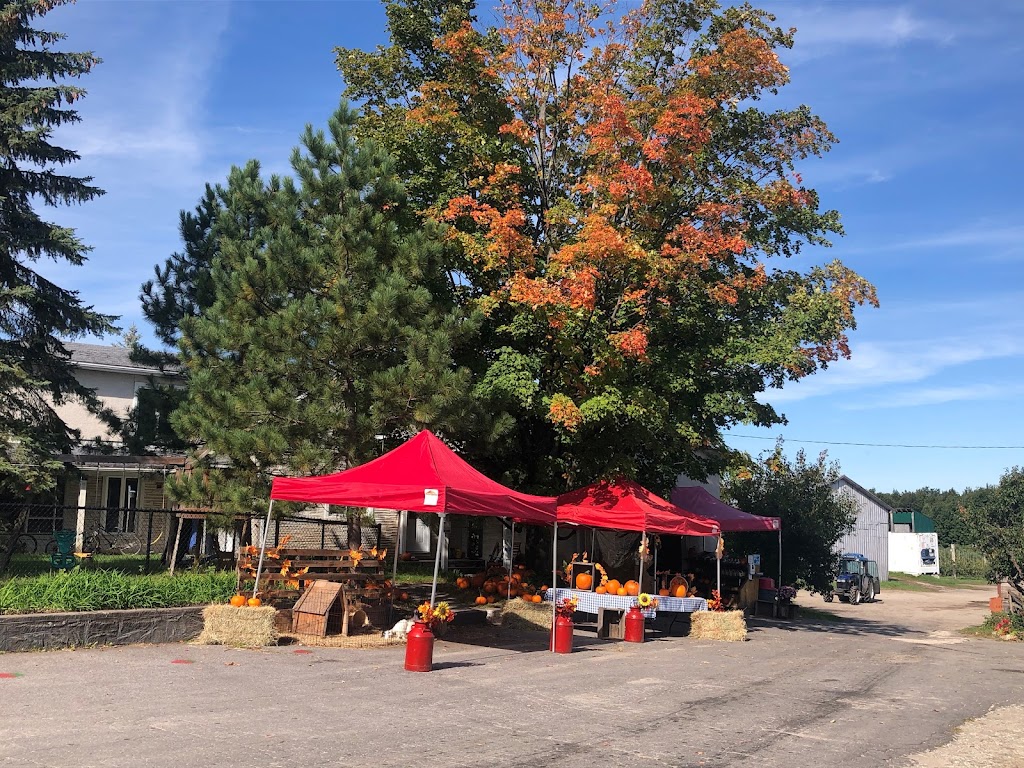 Ferme aux Mille Cailloux | 2635 QC-202, Franklin, QC J0S 1E0, Canada | Phone: (450) 827-2456