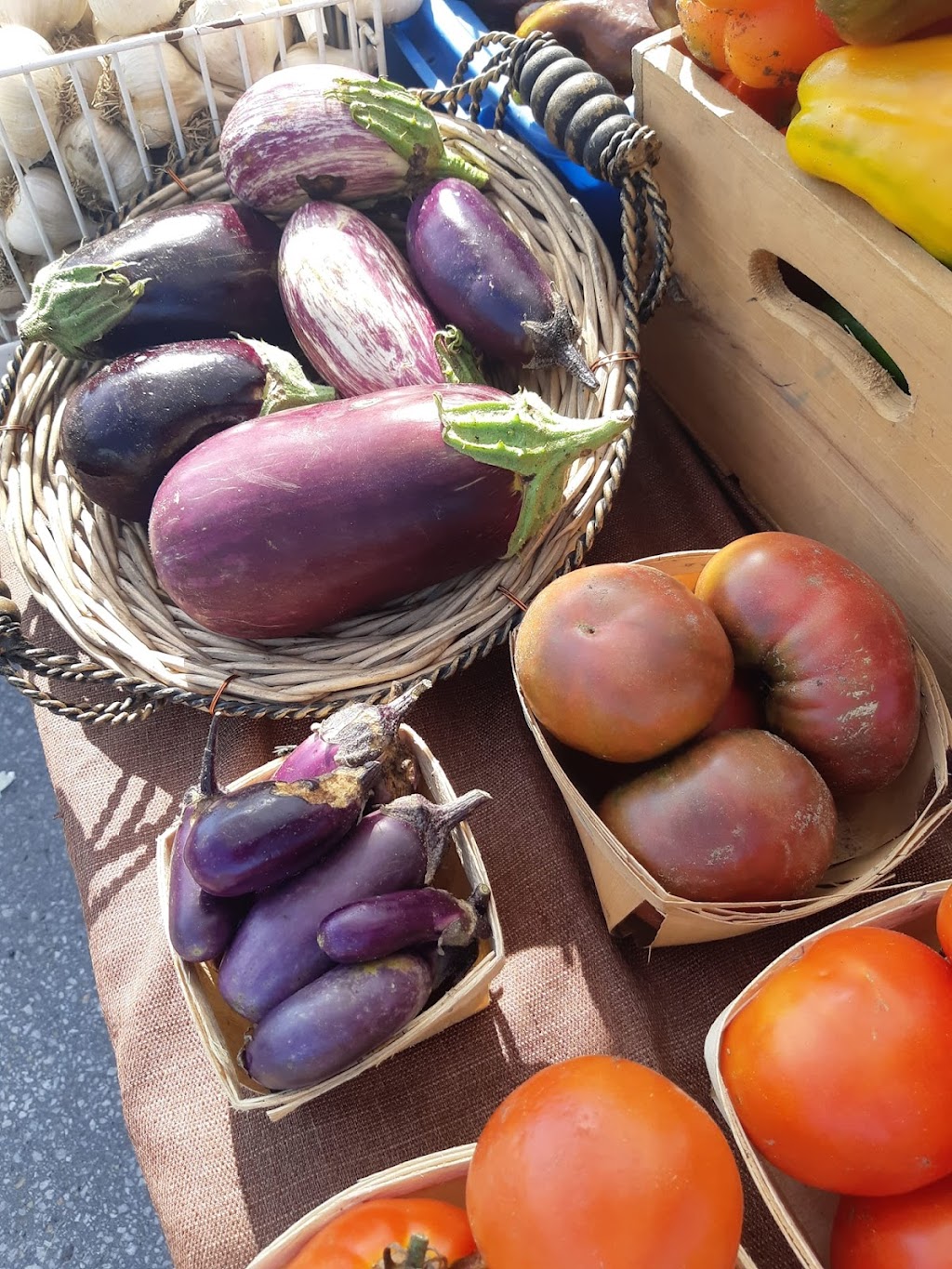 Ferme au septième sol | 1440 Chem. de la Côte Georges, Mascouche, QC J7K 3C2, Canada | Phone: (514) 922-9868