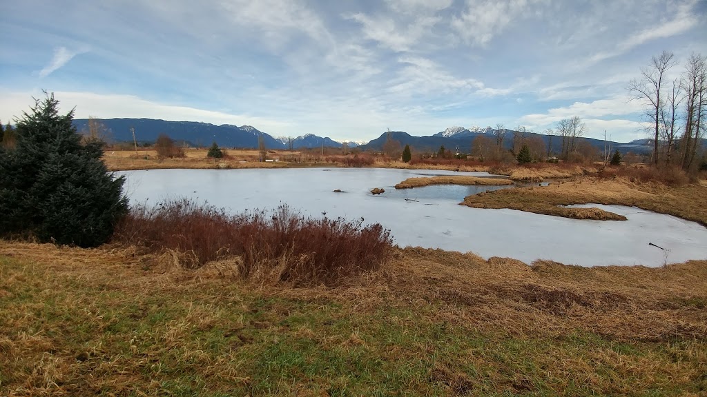 Jerry Sulina Park | Maple Ridge, BC V4R 2R9, Canada