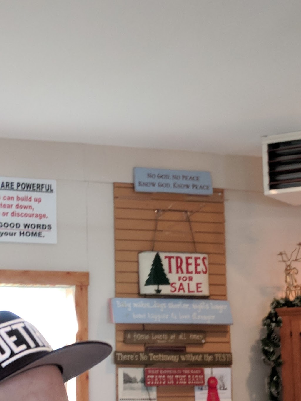 Dunsmore Blue Spruce Tree Farm | 804 Mayer Rd, Smiths Creek, MI 48074, USA | Phone: (810) 367-6091