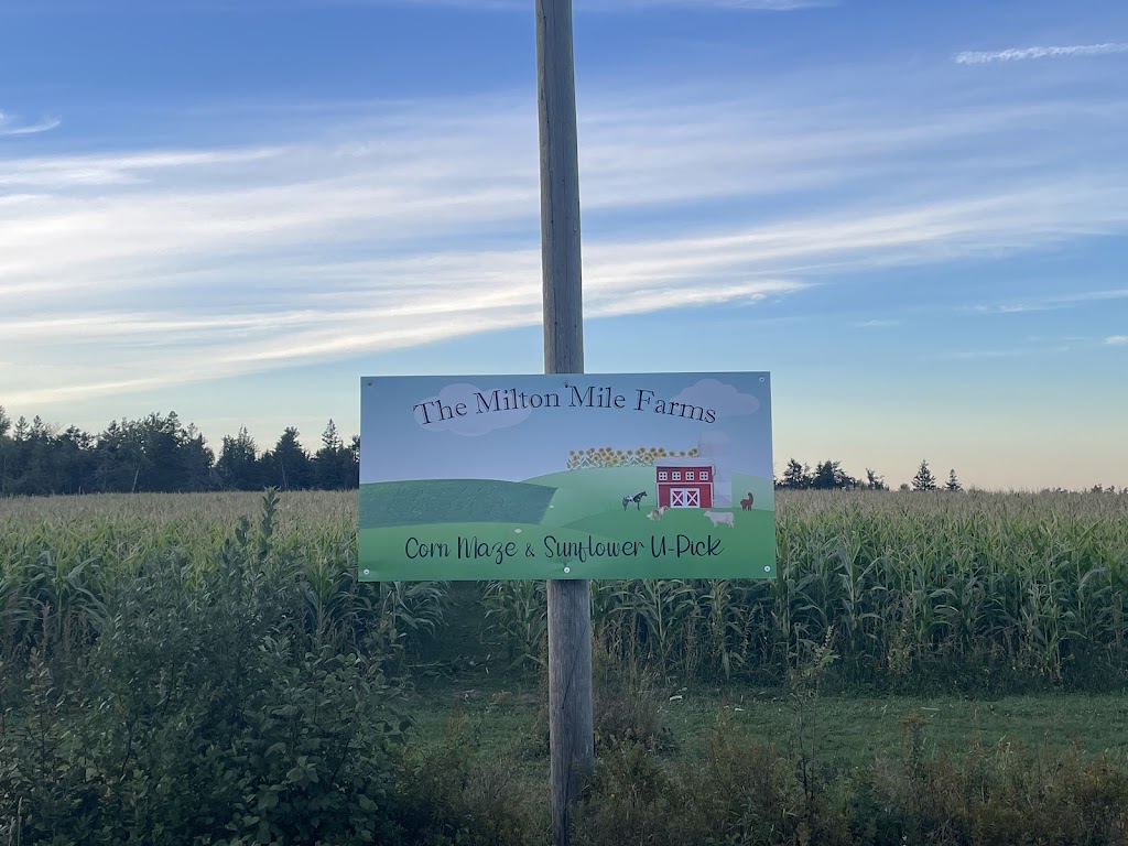 The Milton Mile Farms | 800 Dawson Rd, Dawson Settlement, NB E4H 2A2, Canada | Phone: (506) 803-9009