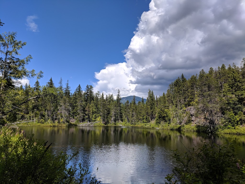 Brandywine Falls Provincial Park | Whistler, BC V0N 0A0, Canada | Phone: (800) 689-9025