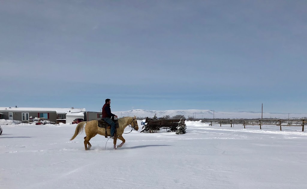 SR Horse Training | NW 17-9-26 W4, Macleod, AB T0L 0Z0, Canada | Phone: (403) 331-8440